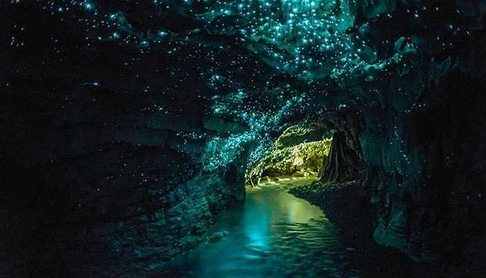 Hang Glowworm (đom đóm), New Zealand. địa điểm này mang tới một thứ ánh sáng vô cùng độc đáo vào ban đêm nhờ những con đóm đóm. và loài sinh vật này đã được lấy làm tên của hang động nổi tiếng. Chúng được bảo tồn một cách nghiêm ngặt bởi Hội quản lý khoa học tại New Zealand 