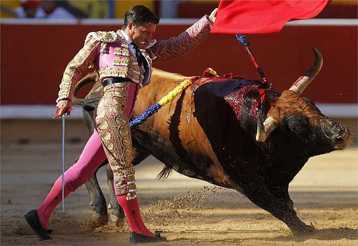 Các đấu sĩ dùng gậy nhọn đâm vào lưng bò