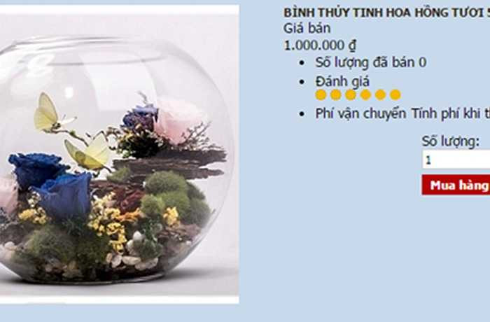 Bên cạnh hoa hồng mạ vàng viền cánh, năm nay, các loại hoa hồng 7 màu, hồng xanh vĩnh cửu... vẫn được bán khá nhiều. Mức giá cho các món quà này dao động từ 350.000 - 500.000 đồng. 