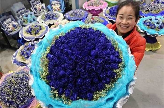 Hoa hồng xanh độc, lạ cũng là món quà đầy bất ngờ