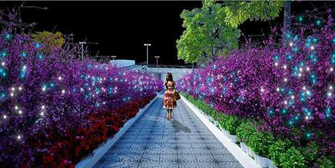 Vườn đào Nhật Tân, Khoe sắc, giữa Đà Nẵng, Cầu Rồng, đường hoa xuân, Tết Ất Mùi