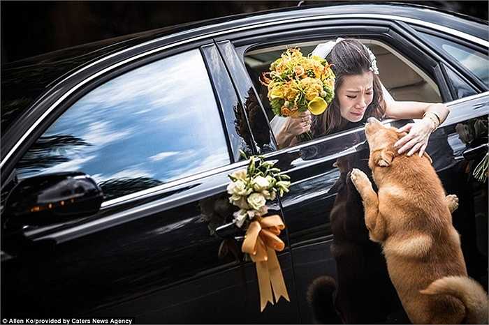 Giải nhất về 'Tình yêu gia đình' dành cho bức ảnh chụp cảnh đám cưới ở Quảng Châu, Trung Quốc