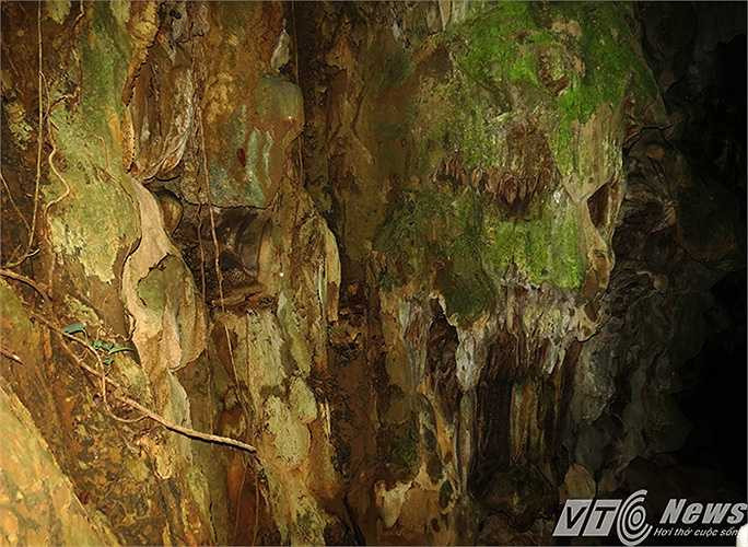 Được biết, hang Quả Vang do một người dân kiêm kiểm lâm trên đảo phát hiện. 