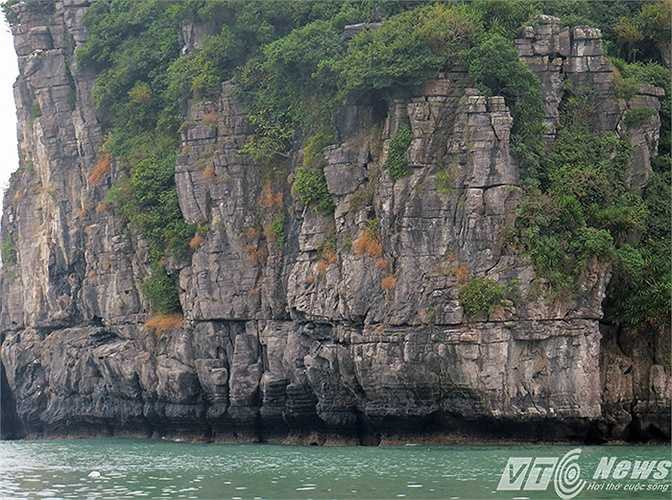 Sức sống mãnh liệt của những loài cây mọc trên núi đá vôi, in hình xuống mặt biển xanh biếc, lăn tăng gợn sóng.