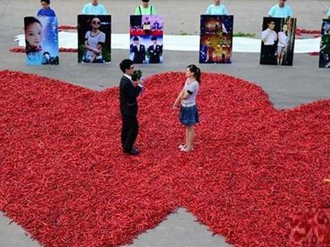 Dịch vụ tỏ tình, cầu hôn ngày Valentine