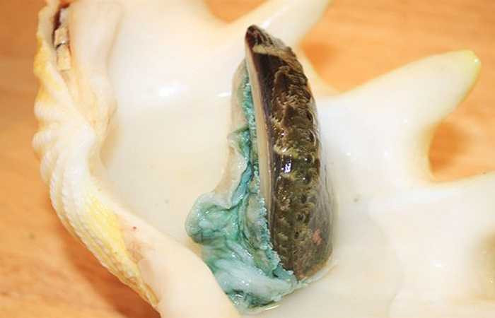 6. Bào ngư: Theo quan niệm dân gian, bào ngư là món đại bổ, có tác dụng trong việc tăng khí, hạ nhiệt, bổ thận, chống suy nhược cơ thể, bổ mắt. Đặc biệt, bào ngư rất tốt cho phái mạnh vì tác dụng tráng dương, tăng cường sinh lực.