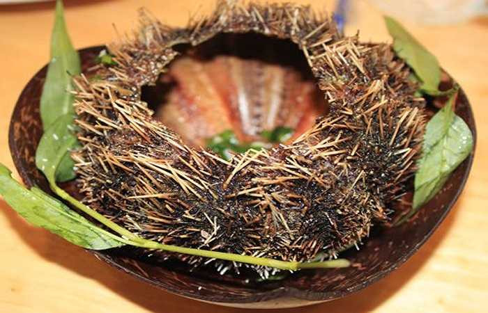 8. Cầu gai: Có nơi gọi là nhum biển hay nhím biển, được ví như là nhân sâm của biển vì những tác dụng của nó, theo nghiên cứu của y học thì cầu gai là một món ăn tăng cường canxi rất hữu ích cho cơ thể. Bên cạnh đó, nó còn có tác dụng bổ thận, tráng dương, tăng cường sinh lực cho phái mạnh.