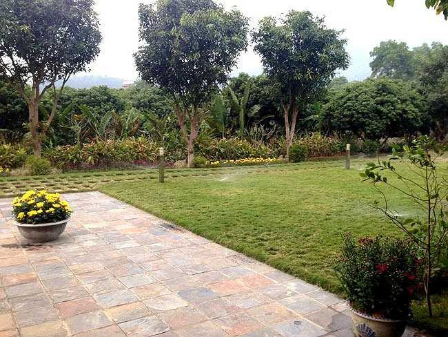 Trên khoảng đất rộng, thiết kế 1 tầng thoáng mát được chọn làm trọng điểm ở khu nhà dài có diện tích khoảng 300 m2.