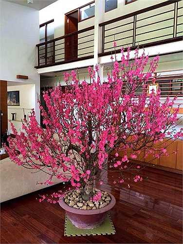 Và sau một năm công trình đã hiện hình, đầy thuyết phục đến mức thay vì suy nghĩ ban đầu của gia chủ là xây dựng một công trình nghỉ dưỡng cuối tuần cho gia đình, một khu nhà ở – giải trí và công việc liên hoàn.