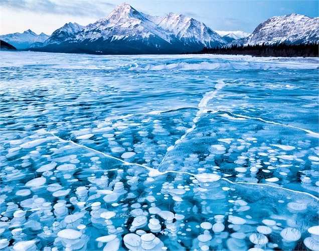 Vẻ đẹp của bong bóng trong lòng hồ Abraham bị đóng băng ở Canada