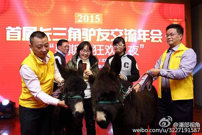 Một công ty ở Giang Tô (Trung Quốc) gây choáng cho nhân viên khi đưa cả lừa, lợn, cừu vào buổi tổng kết.