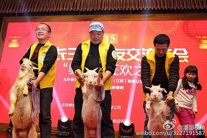 Theo tiết lộ của ban tổ chức, giá mua các con vật này không hề rẻ, khoảng 8.000 nhân dân tệ/lừa và 800 nhân dân tệ/lợn...