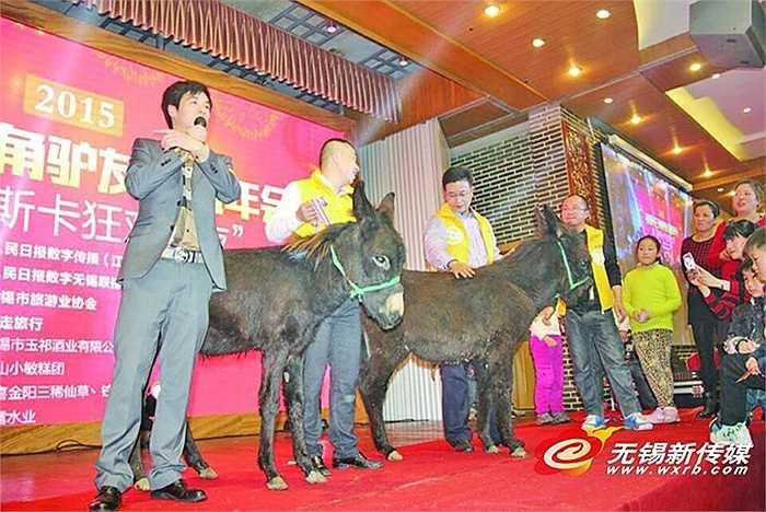 Công ty muốn qua hành động lạ lùng này để mong các nhân viên đều có Tết ấm áp, hạnh phúc