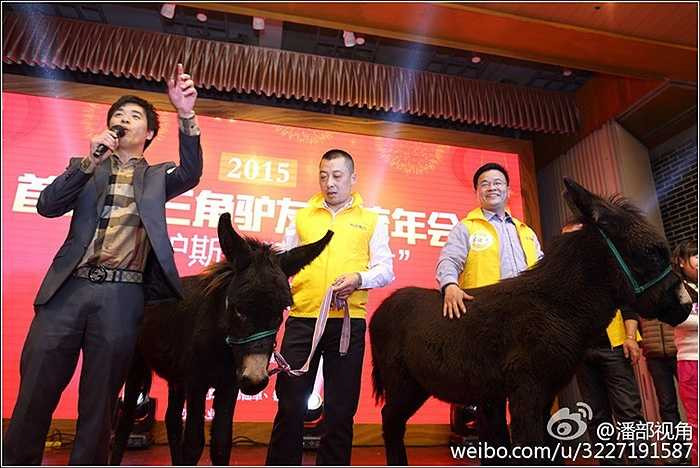 Những chủ nhân của những con lừa trong buổi tổng kết