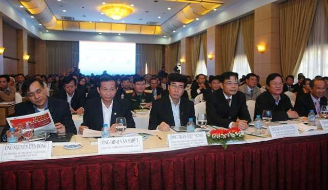 Nghiên cứu trồng 250.000 ha cây mắc ca trong 5 năm tới tại Tây Nguyên