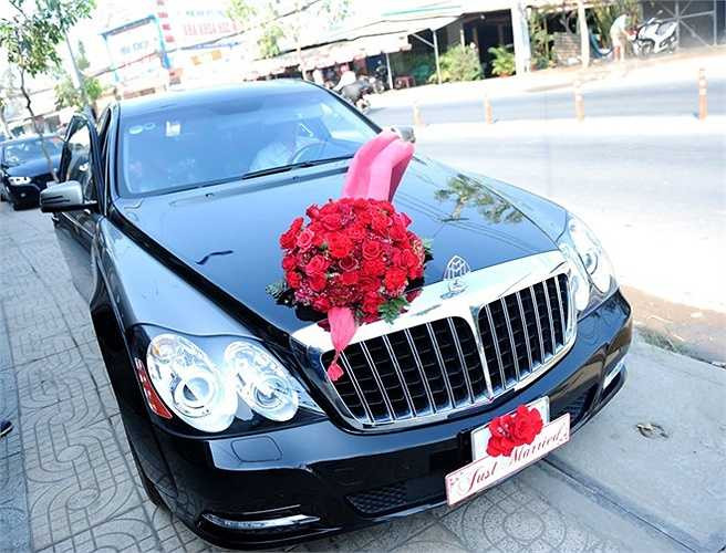 Xe hoa của Trúc Diễm thuộc dòng Maybach cao cấp có giá khoảng 20 tỷ đồng (1 triệu USD) tại Việt Nam. Đây cũng là dòng hiếm, chỉ có khoảng vài chiếc trong nước.