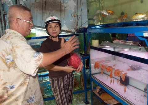 Cá huyết long 20 triệu đồng làm quà biếu tết