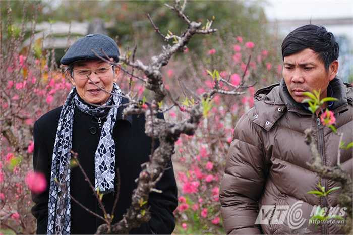 Chủ vườn (phải) và một người chơi đào sành sỏi đang ngắm nhìn các gốc đào Thất Thốn