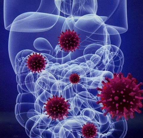 9 bí ẩn khoa học thế kỷ 21 chưa có đáp án