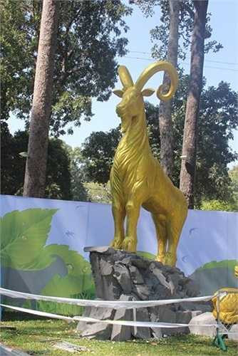 Dê bố có chiều cao gần 6m với chiều cao thân dê 4,3m cộng thêm phần đế là núi đá vôi cao 1,5m.