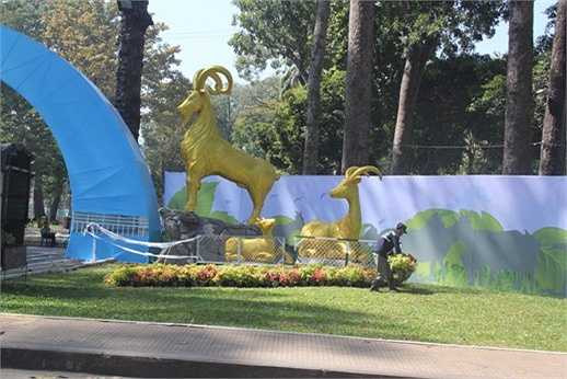 Gia đình dê này có chiều cao hơn cả gia đình dê sẽ được trang trí tại đường hoa tết Hàm Nghi