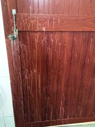 Nữ sinh viên bị tạt a xít tại trường đại học