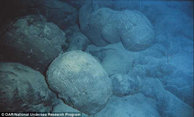 Dung nham từ núi lửa dưới đáy đại dương ngay lập tức được nước làm nguội và tạo nên những hình thù như trên