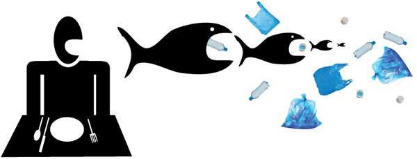 Con người đang gián tiếp ăn nhựa thải trên đại dương