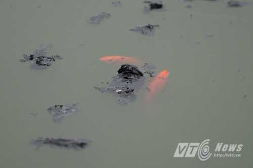 Tiễn ông Công ông Táo về trời, sông hồ Hà Nội ngập rác