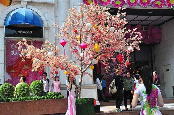 Những cô thiếu nữ duyên dáng bên màu hoa đẹp rạng rỡ. (Ảnh: Sỹ Hưng)