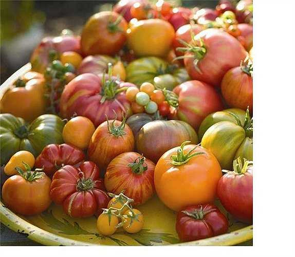 Cà chua: Trong những ngày tết, bạn nên ăn kèm cà chua trong các món ăn để giúp giảm mỡ thừa, và ngăn ngừa tăng cân.Bởi cà chua có nhiều vitamin C, các vitamin, khoáng chất giúp thải độc tố trong cơ thể, và thải mỡ thừa ra ngoài đặc biệt là vùng bụng.