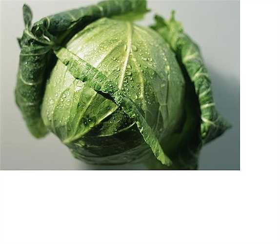 Bắp cải: Bắp cải là loại rau giàu lutein, beta-carotene, vitamin C, folate, khoáng chất, chất xơ, rất tốt cho hệ tiêu hóa. Tích cực tham gia vào quá trình trao đổi chất, giúp tiêu hao nhiều năng lượng, đông thời chất xơ trong bắp cải giúp hạn chế táo bón, đào thải mỡ thừa, hấp thụ chất béo tích tụ.