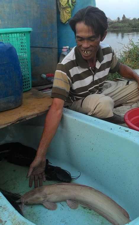 Bắt được cá trê kỳ lạ trên sông Sài Gòn