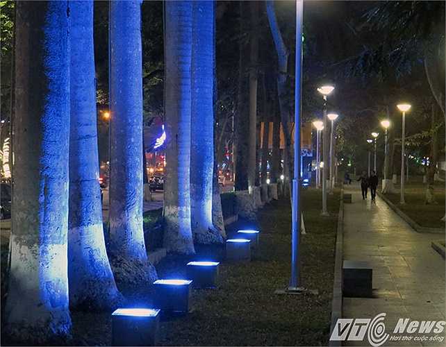 Hàng cau vua được chiếu sáng bởi một dàn đèn màu xanh huyền ảo