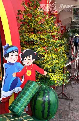 Mai vàng phương Nam. (Ảnh: Quang Minh)