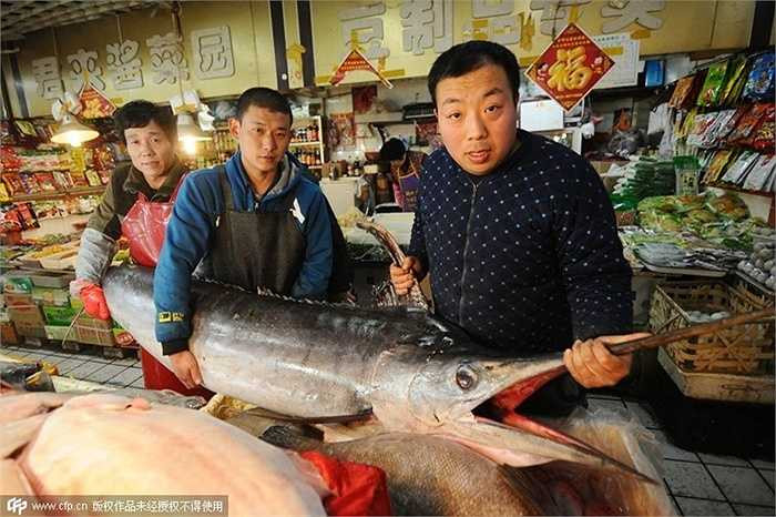 Một ngư dân ở Thanh Đảo (Trung Quốc) đã bắt được con cá kiếm nặng 121kg, với chiều dài hơn 2,77m.