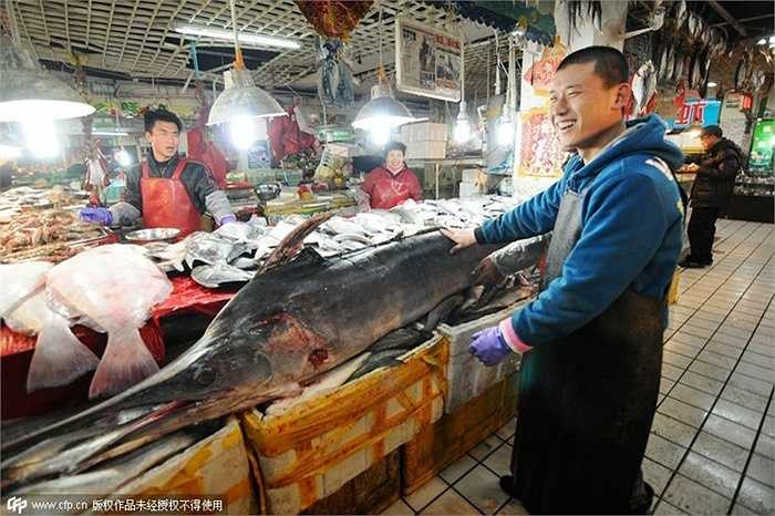 Con cá kiếm này được đánh bắt ở một cảng cá ở phía Đông tỉnh Sơn Đông, Trung Quốc