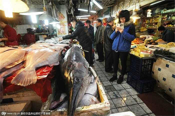 Ngoài con cá kiếm khổng lồ này, ngư dân còn bắt được cá mú, cá tráp nặng hàng chục kg khác