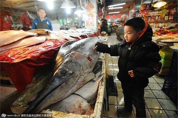 Con cá kiếm dài và nặng đang được bày bán ở chợ cá dịp gần Tết