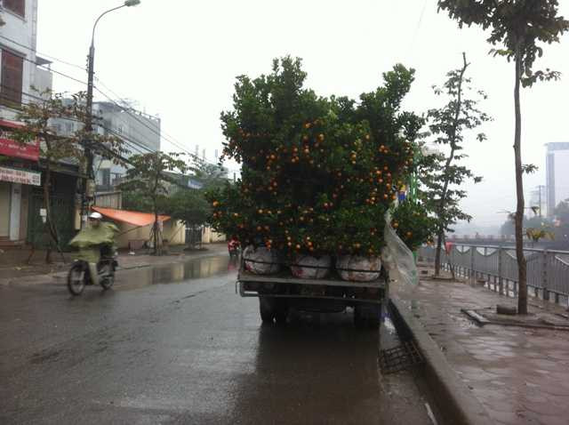 Nhiều chủ hàng ngóng trời nên chưa dám hạ hàng xuống bày bán.