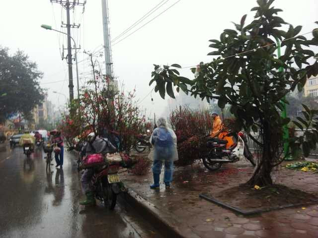 ên Hà Nội bán được giá hơn so với ngoại tỉnh, nhưng thêm hàng trăm thứ chi phí, và cũng phải cạnh tranh với hàng vạn người