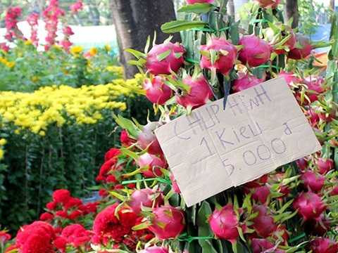 Chợ hoa vắng khách, điểm bán treo bảng thu phí chụp hình