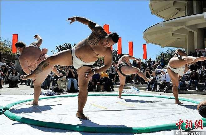 Hiện nay, dù trải qua nhiều thay đổi của cuộc sống hiện đại và du nhập của văn hóa phương Tây. Hiện nay, có rất nhiều võ sĩ sumo đến từ các nước khác như Mông Cổ, Bulgaria… nhưng sumo vẫn là nét văn hóa truyền thống, một nghi lễ tôn giáo trong nền văn hóa Nhật Bản. 