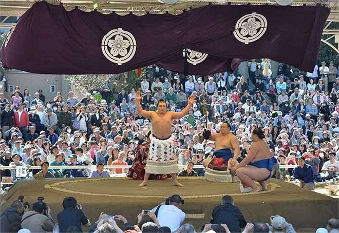 Trong nghi lễ nhập đài có nhiều điểm khá đặc biệt. Lễ này được chia thành nhiều giai đoạn. Trước hết là lễ giậm chân và khởi động. Tiếp đó là lễ tẩy uế Shinto hay còn gọi là lễ ném muối. Hai đấu sĩ tiến về góc đài, bốc một nắm muối ném vào sàn đấu, rồi cúi xuống nhìn nhau trừng trừng. Phong cách riêng và uy lực của từng võ sĩ được thể hiện rõ nét ngay từ cái nhìn đầu tiên này.