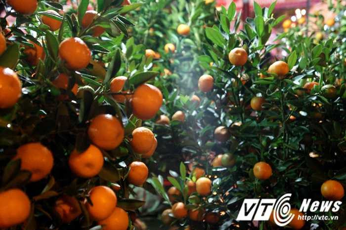 Chợ Tết Hà Nội