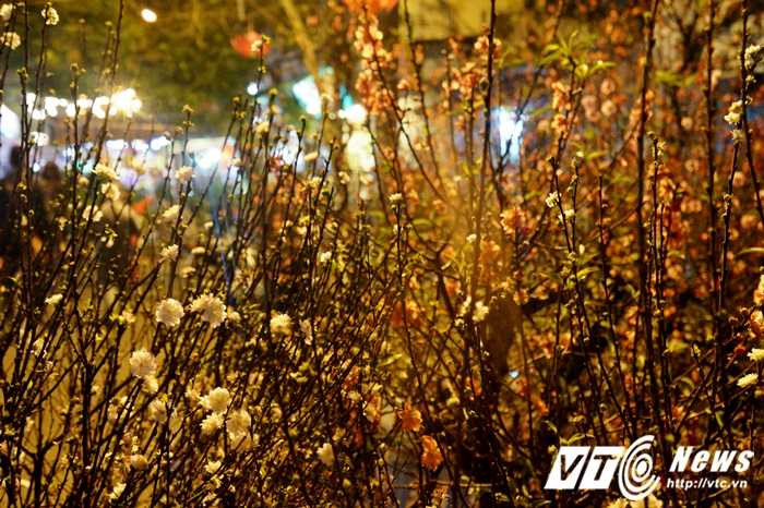 Chợ Tết Hà Nội