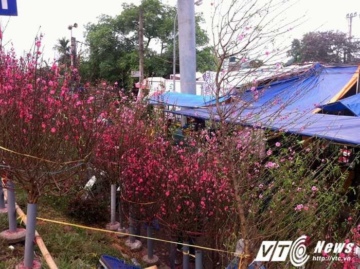 Chợ Tết Hà Nội