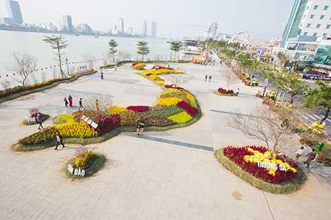 Ngắm, bản đồ Việt Nam, bản đồ hoa, lớn nhất Việt Nam, đường hoa