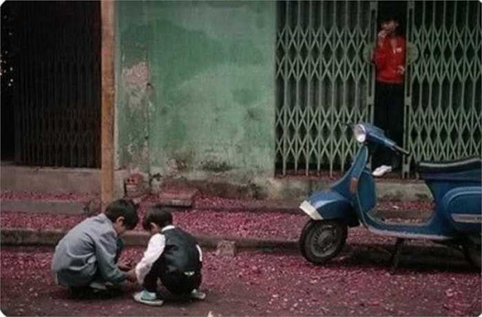 Những đứa trẻ thích thú kiếm tìm với hy vọng nhặt được quả nào chưa nổ trong đống xác pháo rải đầy mặt đất. Thuỵ Miên (tổng hợp)