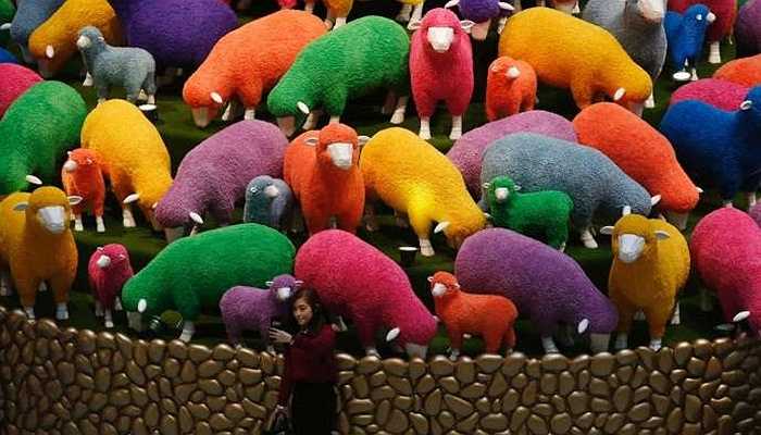 Tại Hồng Kông, mọi người cũng đón năm con cừu và hầu hết các trung tâm thương mại đều trang trí hình con vật này